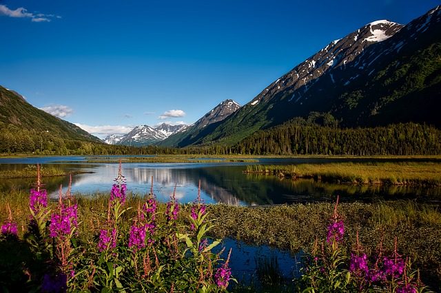 Chugach National Forest